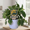 Baylor Logotype Color Plant Stake