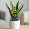 Baylor Baylor Logotype Acrylic Plant Stake