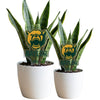 Baylor Baylor Logotype Acrylic Plant Stake