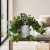 Baylor BU Color Plant Stake