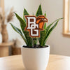 Bowling Green Falcon Acrylic Plant Stake