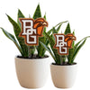 Bowling Green Falcon Acrylic Plant Stake