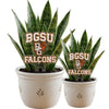 Bowling Green Logo Acrylic Plant Stake