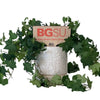 Bowling Green BGSU Color Plant Stake