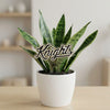 Central Florida 'Knights' Acrylic Plant Stake