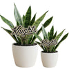 Central Florida 'Knights' Acrylic Plant Stake