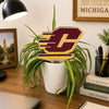 Central Michigan Logo Color Plant Stake
