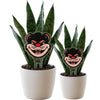 University of Cincinnati Bearcat Acrylic Plant Stake