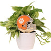 Clemson University Helmet Color Plant Stake