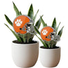 Clemson University Helmet Acrylic Plant Stake