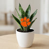 Clemson University Tiger Paw Acrylic Plant Stake