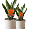 Clemson University 'Go Tigers'  Acrylic Plant Stake
