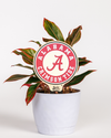 University of Alabama Circle Color Plant Stake