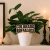 University of Colorado Color Plant Stake