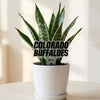 University of Colorado Acrylic Plant Stake