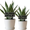University of Colorado Acrylic Plant Stake