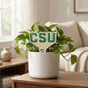 Colorado State University 'CSU' Color Plant Stake