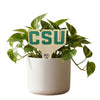 Colorado State University 'CSU' Color Plant Stake