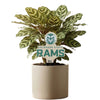 Colorado State University Logo Color Plant Stake