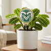 Colorado State University Ram Color Plant Stake