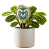 Colorado State University Ram Color Plant Stake