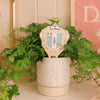 Delta Zeta Crest Color Plant Stake