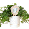 Delta Zeta Crest Color Plant Stake