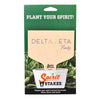 Delta Zeta Sign Color Plant Stake