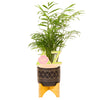 Delta Zeta Logo Color Plant Stake