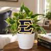 East Tennessee State University Color Plant Stake