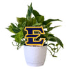 East Tennessee State University Color Plant Stake