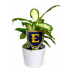 East Tennessee State University Shield Color Plant Stake