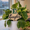 Eastern Michigan University Logo Color Plant Stake