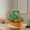 Eastern Michigan University E Color Plant Stake