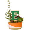 Eastern Michigan University E Color Plant Stake