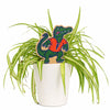 University of Florida Albert Color Plant Stake