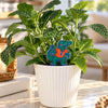 University of Florida Albert Acrylic Plant Stake