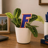 University of Florida Letter Color Plant Stake