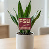 Florida State University 'FSU' Acrylic Plant Stake