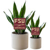 Florida State University 'FSU' Acrylic Plant Stake