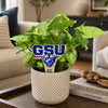 Georgia State 'GSU' Color Plant Stake