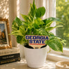 Georgia State Wordmark Color Plant Stake