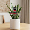 University of Georgia Arch Acrylic Plant Stake