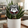 University of Georgia Bulldog Acrylic Plant Stake