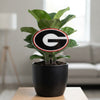 University of Georgia Acrylic Plant Stake