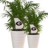 University of Georgia State Acrylic Plant Stake