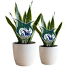 Georgia College Bobcat Acrylic Plant Stake