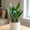 Georgia College Logo Acrylic Plant Stake