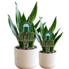 Georgia College Logo Acrylic Plant Stake