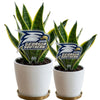 Georgia Southern Athletic Logo Acrylic Plant Stake